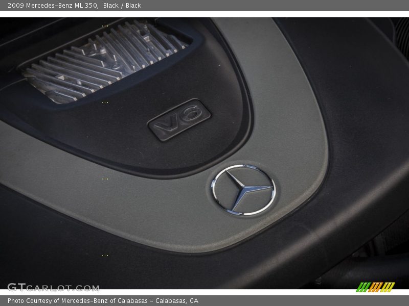 Black / Black 2009 Mercedes-Benz ML 350
