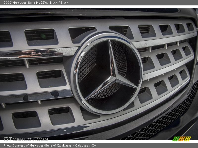 Black / Black 2009 Mercedes-Benz ML 350