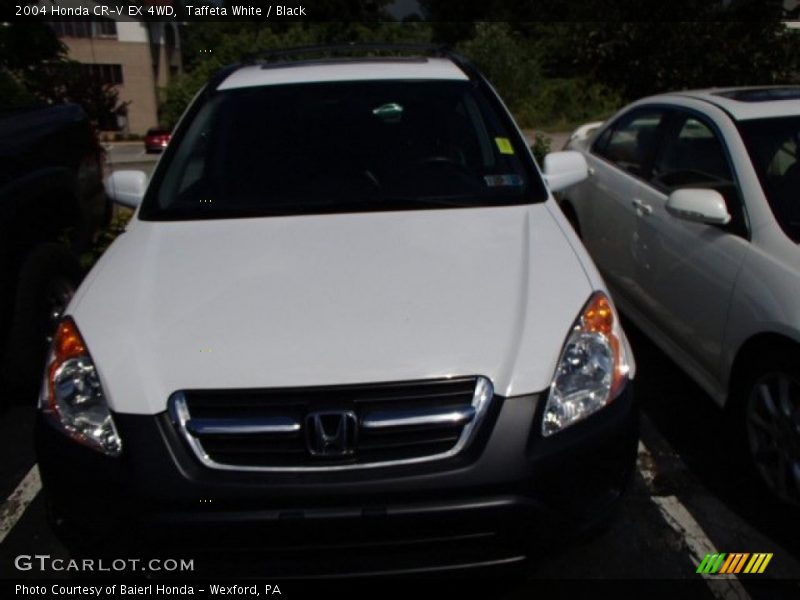 Taffeta White / Black 2004 Honda CR-V EX 4WD