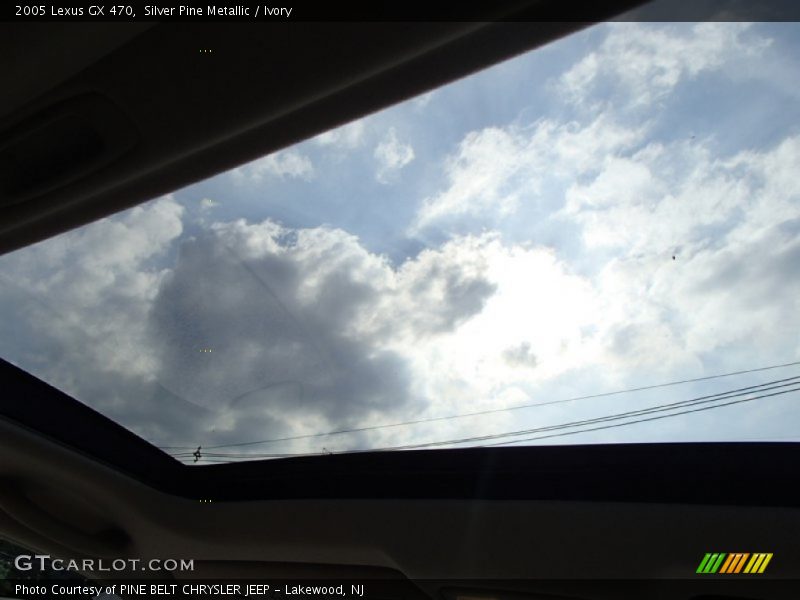 Silver Pine Metallic / Ivory 2005 Lexus GX 470
