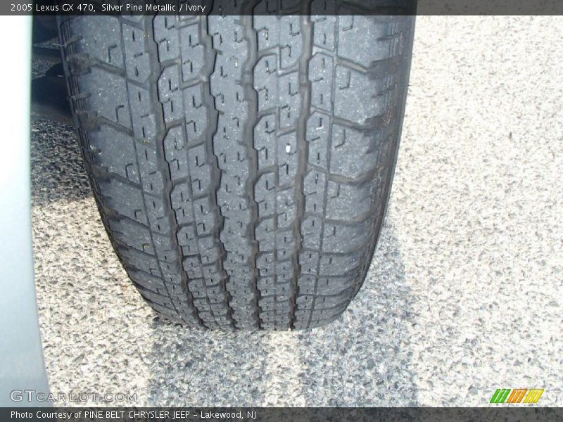 Silver Pine Metallic / Ivory 2005 Lexus GX 470