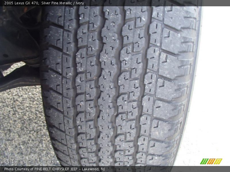 Silver Pine Metallic / Ivory 2005 Lexus GX 470