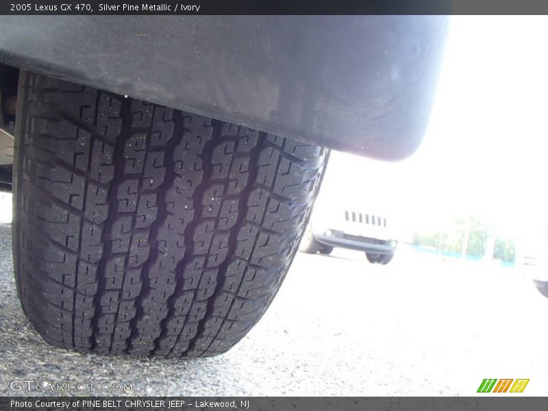 Silver Pine Metallic / Ivory 2005 Lexus GX 470