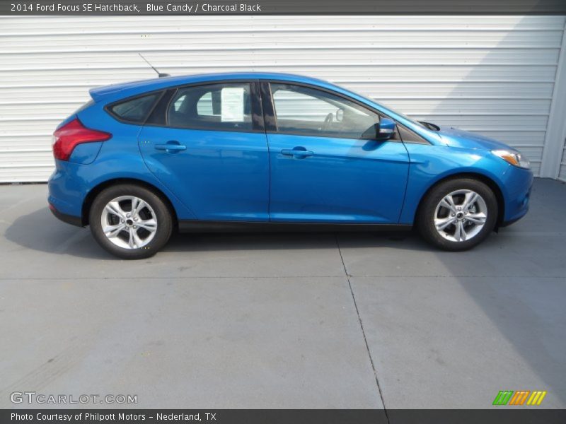  2014 Focus SE Hatchback Blue Candy