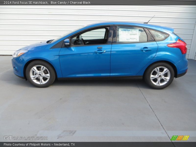 Blue Candy / Charcoal Black 2014 Ford Focus SE Hatchback