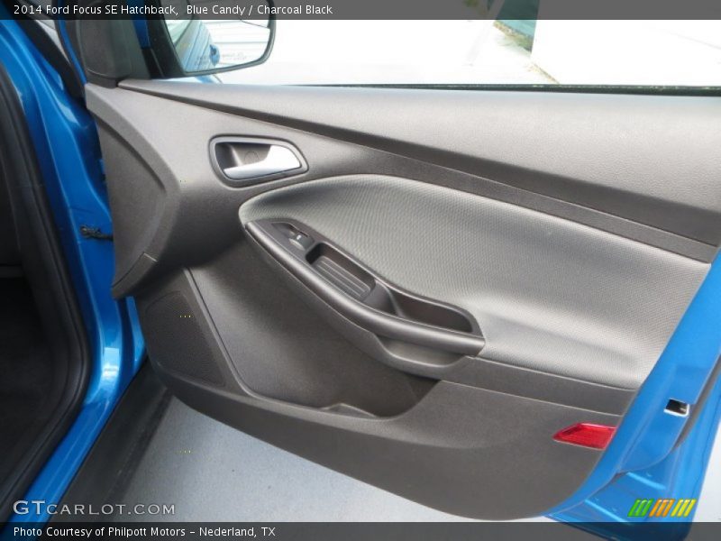 Door Panel of 2014 Focus SE Hatchback