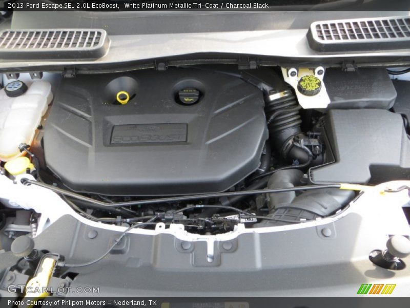 White Platinum Metallic Tri-Coat / Charcoal Black 2013 Ford Escape SEL 2.0L EcoBoost