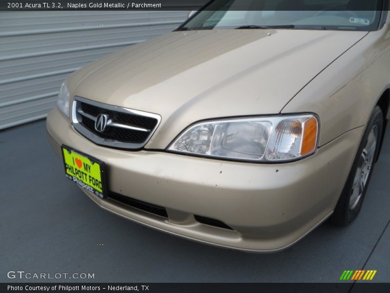 Naples Gold Metallic / Parchment 2001 Acura TL 3.2