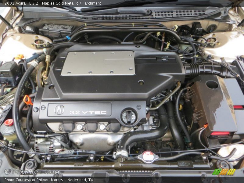 Naples Gold Metallic / Parchment 2001 Acura TL 3.2