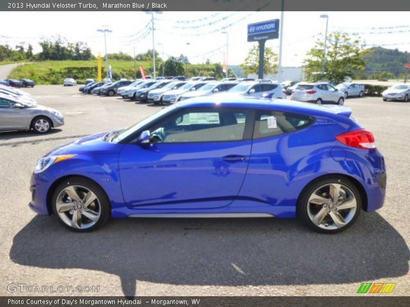Marathon Blue / Black 2013 Hyundai Veloster Turbo