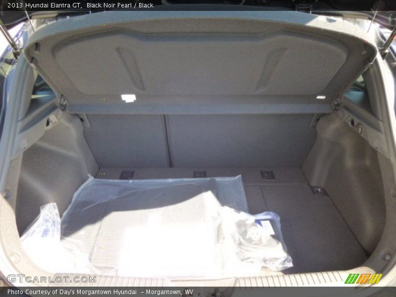 Black Noir Pearl / Black 2013 Hyundai Elantra GT