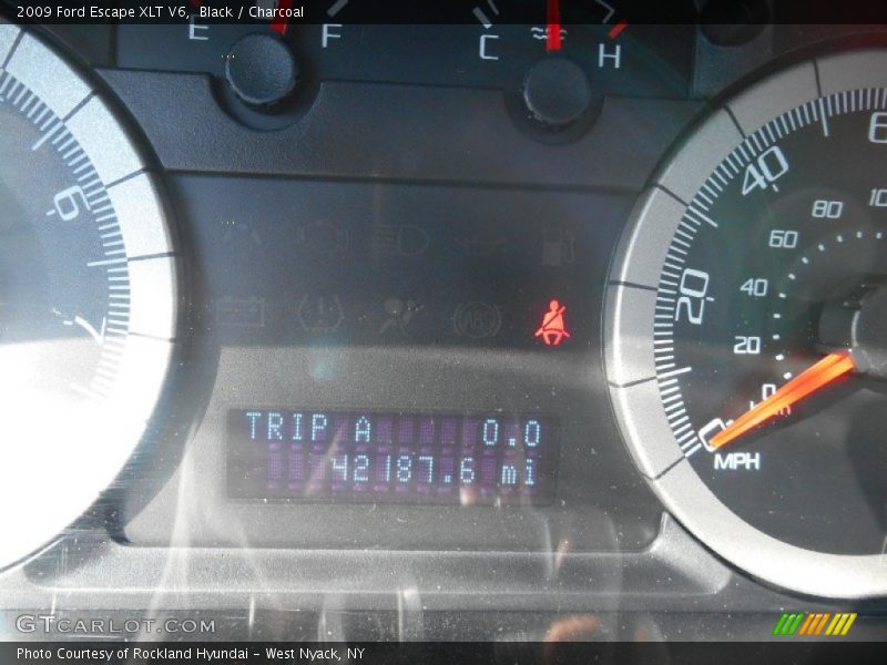 Black / Charcoal 2009 Ford Escape XLT V6