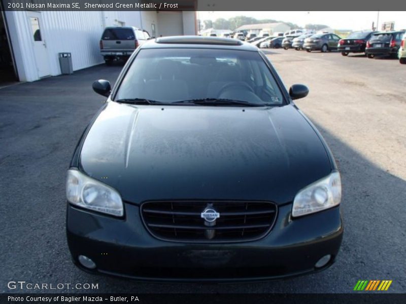 Sherwood Green Metallic / Frost 2001 Nissan Maxima SE