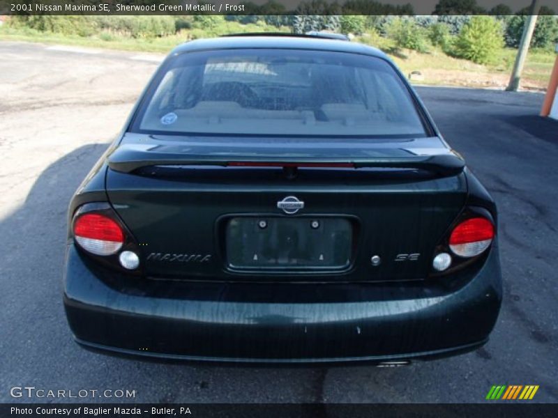 Sherwood Green Metallic / Frost 2001 Nissan Maxima SE