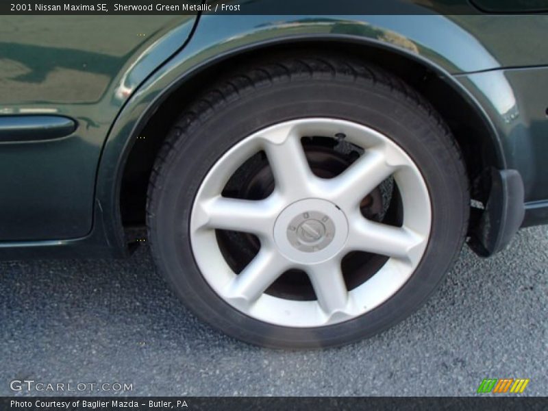 Sherwood Green Metallic / Frost 2001 Nissan Maxima SE