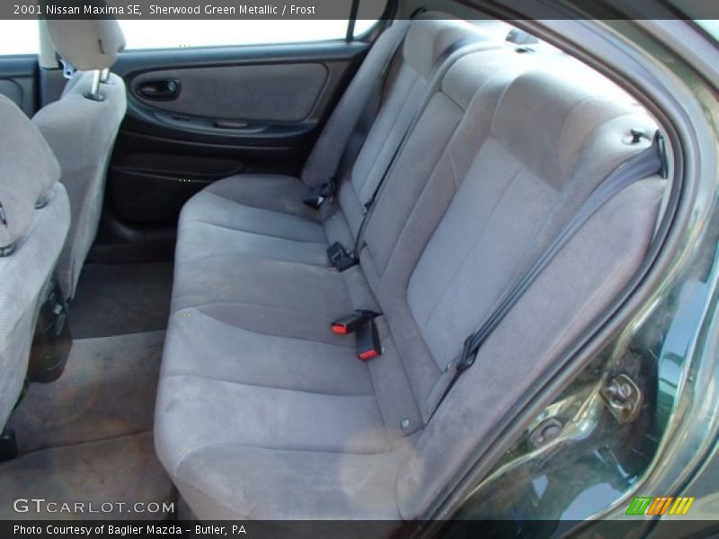 Sherwood Green Metallic / Frost 2001 Nissan Maxima SE