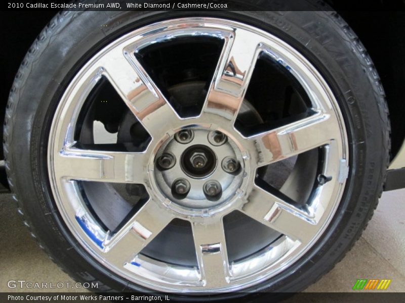 White Diamond / Cashmere/Cocoa 2010 Cadillac Escalade Premium AWD