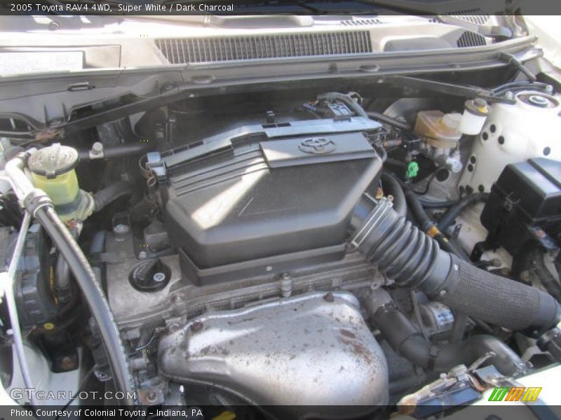 Super White / Dark Charcoal 2005 Toyota RAV4 4WD