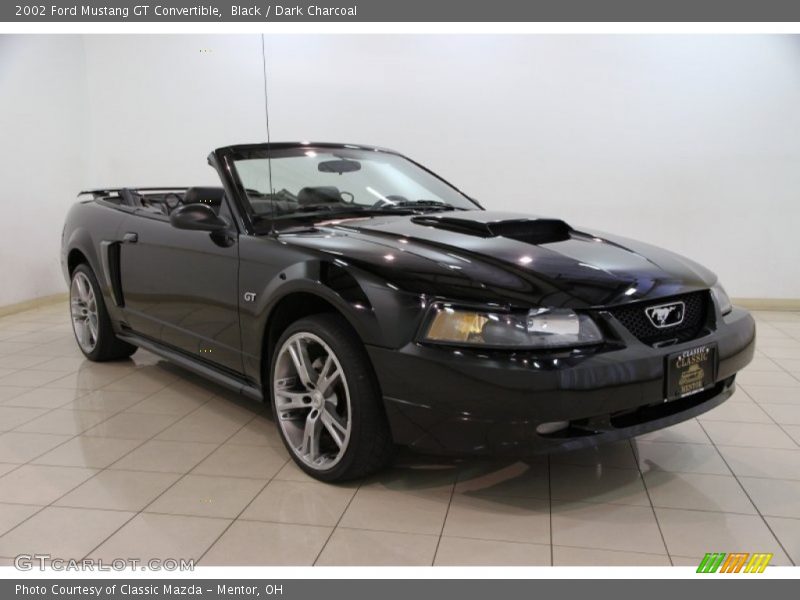 Black / Dark Charcoal 2002 Ford Mustang GT Convertible