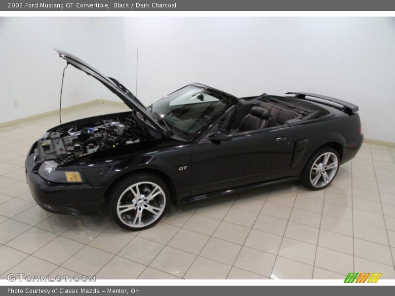 Black / Dark Charcoal 2002 Ford Mustang GT Convertible