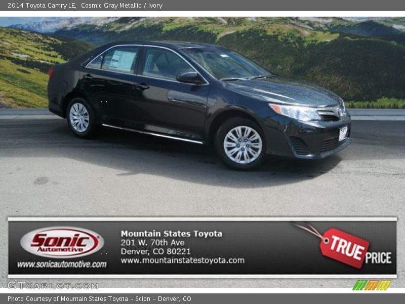 Cosmic Gray Metallic / Ivory 2014 Toyota Camry LE