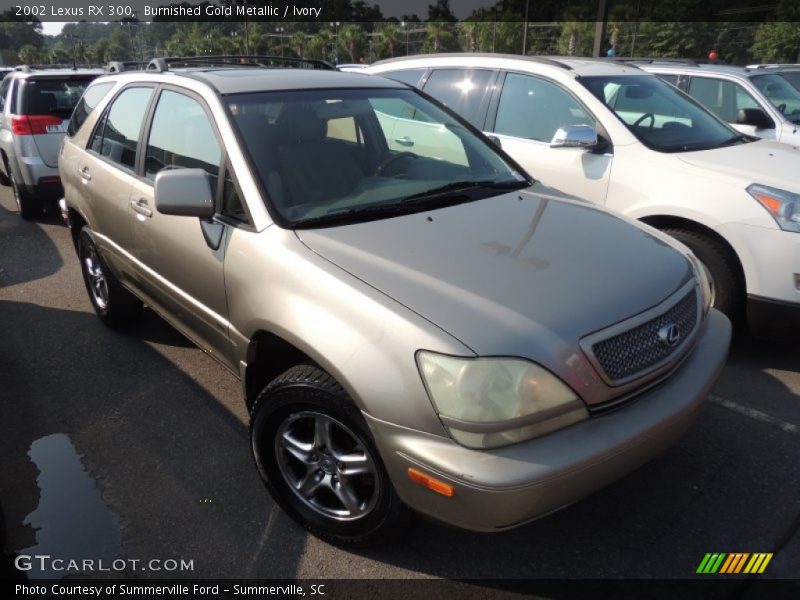 Burnished Gold Metallic / Ivory 2002 Lexus RX 300