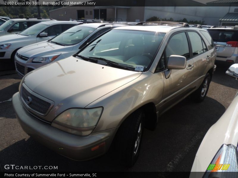 Burnished Gold Metallic / Ivory 2002 Lexus RX 300