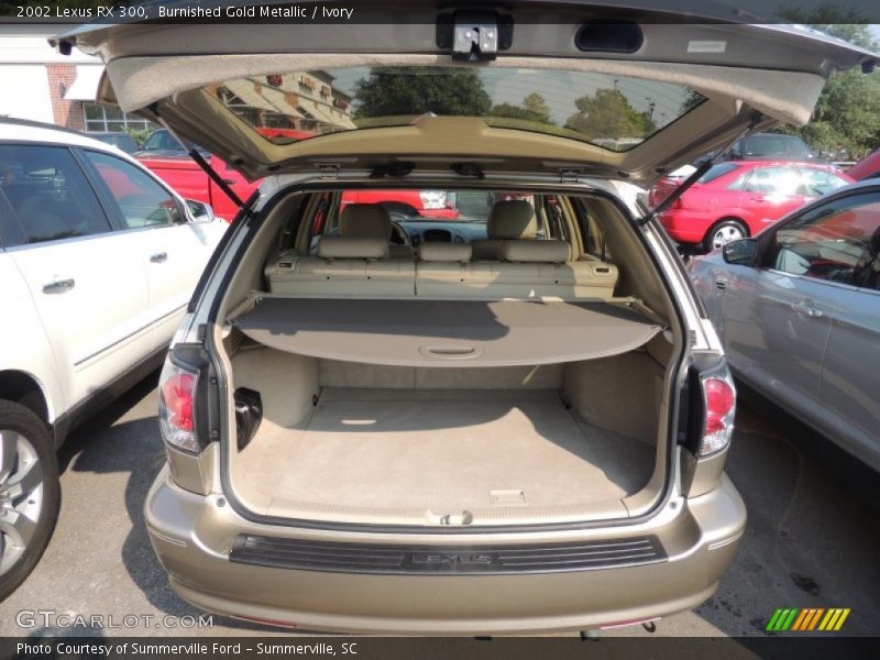 Burnished Gold Metallic / Ivory 2002 Lexus RX 300