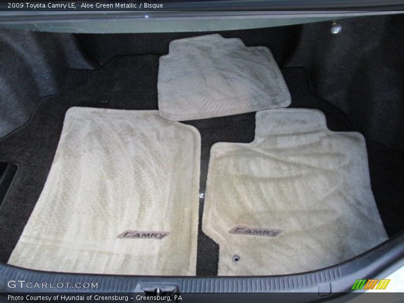 Aloe Green Metallic / Bisque 2009 Toyota Camry LE
