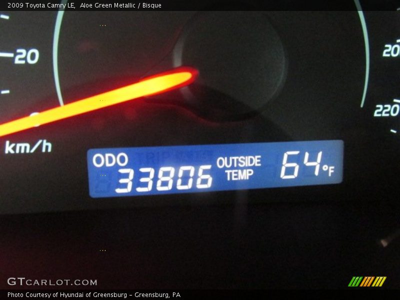 Aloe Green Metallic / Bisque 2009 Toyota Camry LE