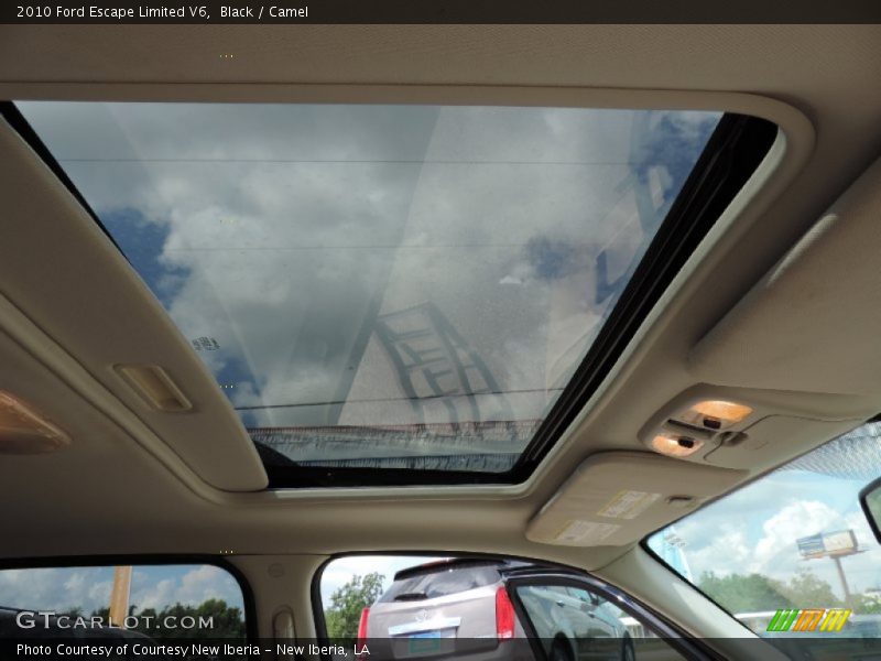 Black / Camel 2010 Ford Escape Limited V6