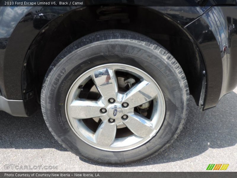 Black / Camel 2010 Ford Escape Limited V6