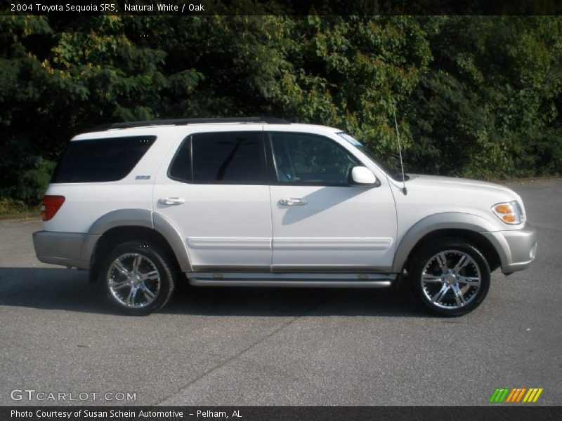 Natural White / Oak 2004 Toyota Sequoia SR5