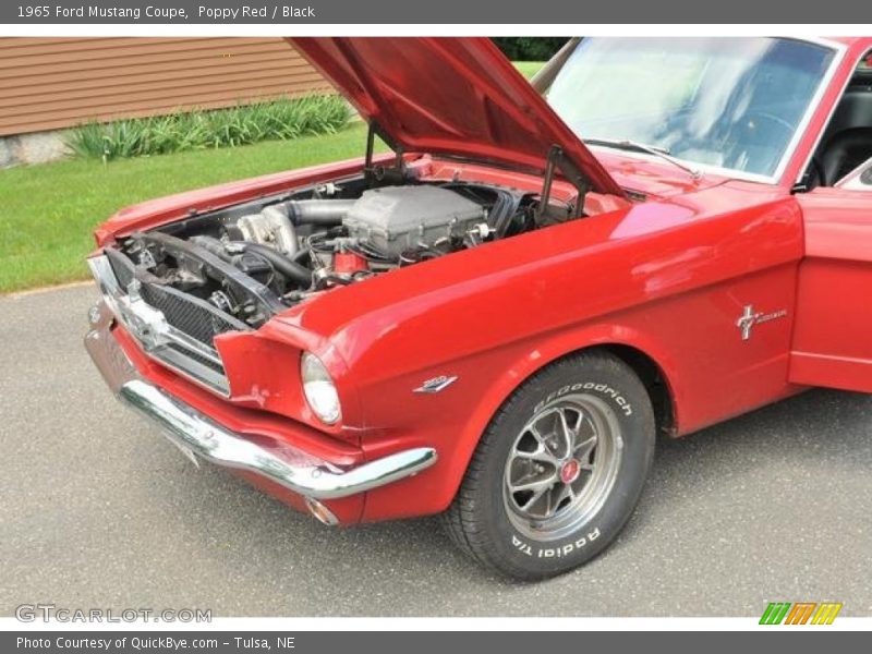 Poppy Red / Black 1965 Ford Mustang Coupe