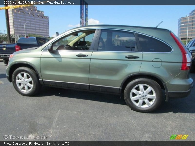 Green Tea Metallic / Ivory 2009 Honda CR-V EX