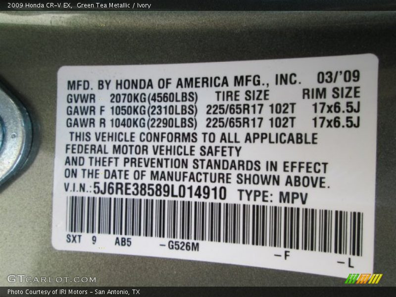 Green Tea Metallic / Ivory 2009 Honda CR-V EX