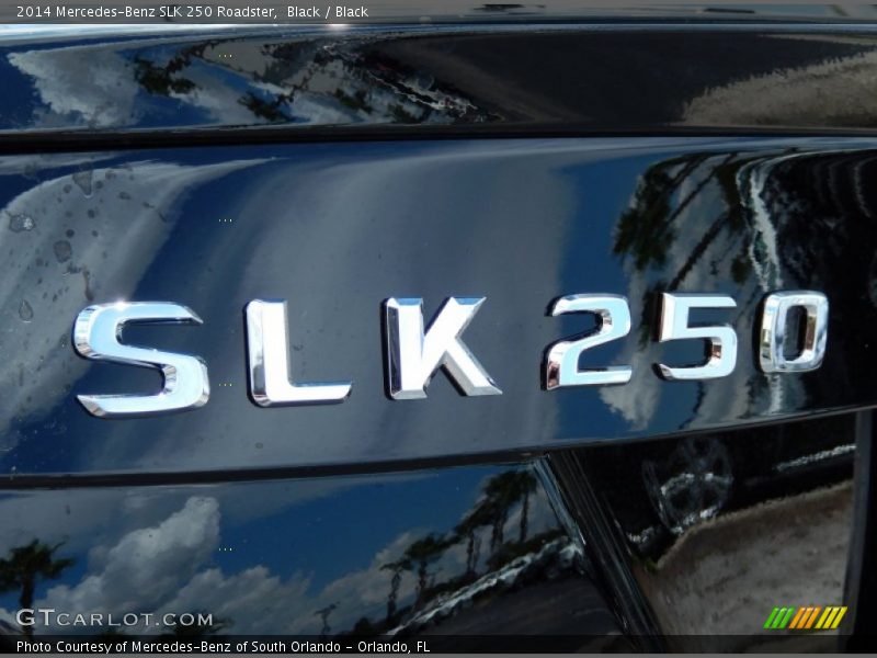 Black / Black 2014 Mercedes-Benz SLK 250 Roadster