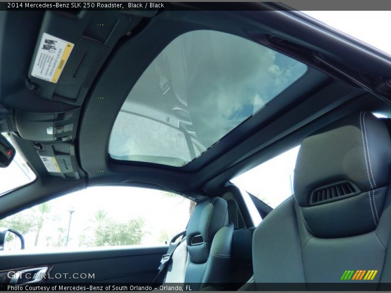 Black / Black 2014 Mercedes-Benz SLK 250 Roadster