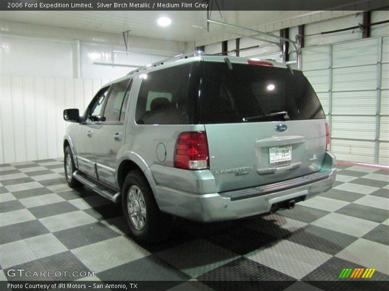 Silver Birch Metallic / Medium Flint Grey 2006 Ford Expedition Limited