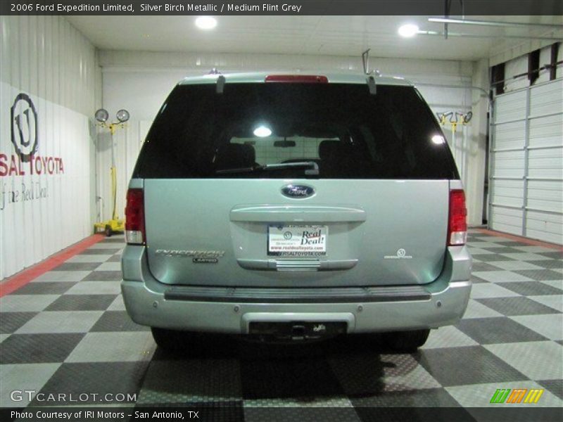 Silver Birch Metallic / Medium Flint Grey 2006 Ford Expedition Limited