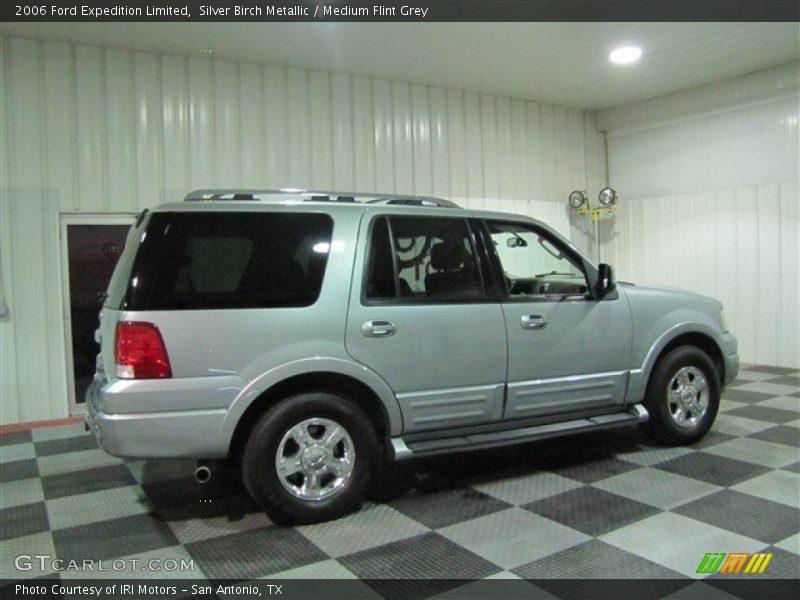 Silver Birch Metallic / Medium Flint Grey 2006 Ford Expedition Limited