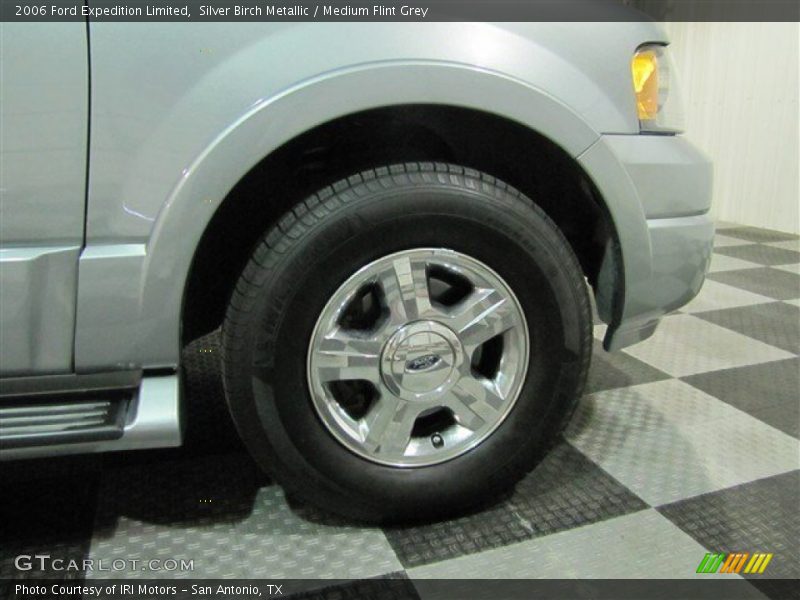 Silver Birch Metallic / Medium Flint Grey 2006 Ford Expedition Limited