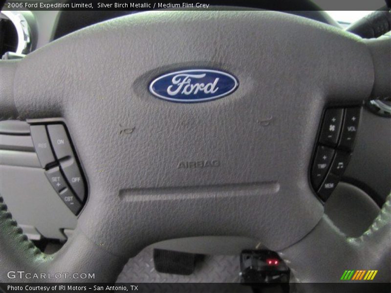 Silver Birch Metallic / Medium Flint Grey 2006 Ford Expedition Limited
