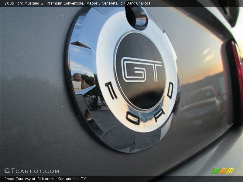 Vapor Silver Metallic / Dark Charcoal 2009 Ford Mustang GT Premium Convertible