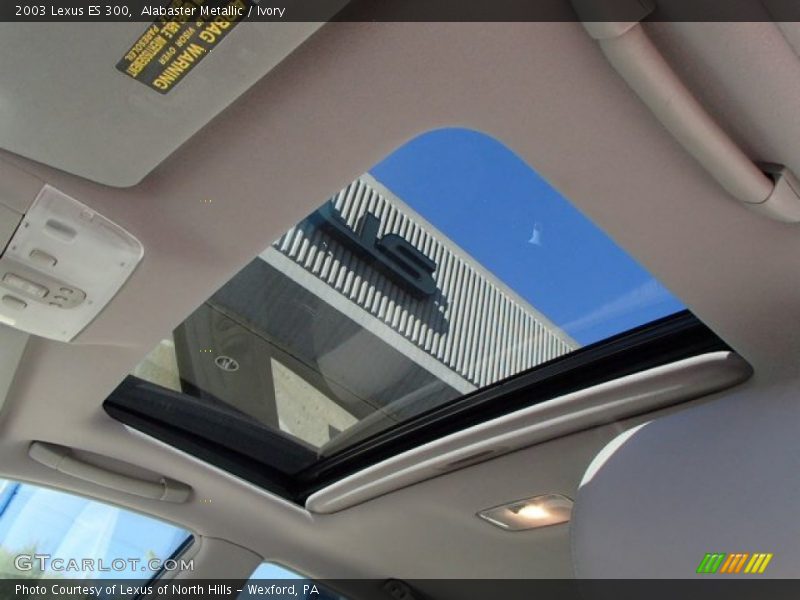 Alabaster Metallic / Ivory 2003 Lexus ES 300