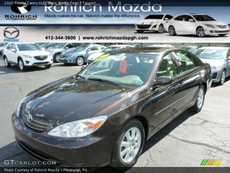 Black Walnut Pearl / Taupe 2002 Toyota Camry XLE