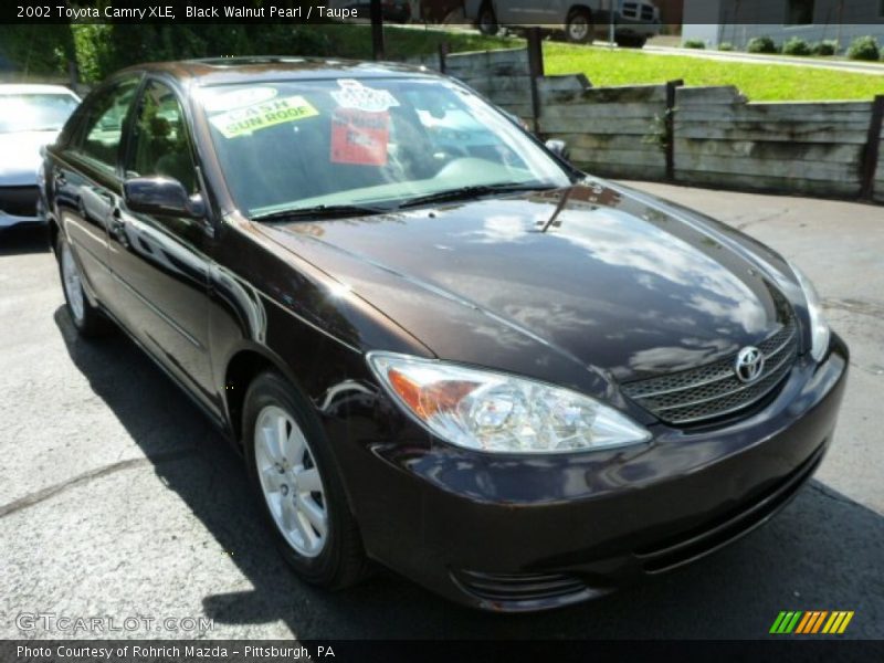 Black Walnut Pearl / Taupe 2002 Toyota Camry XLE