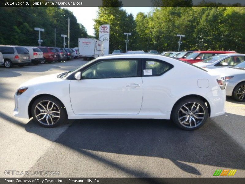 Super White / Dark Charcoal 2014 Scion tC