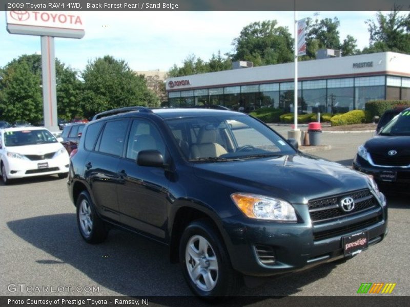 Black Forest Pearl / Sand Beige 2009 Toyota RAV4 4WD