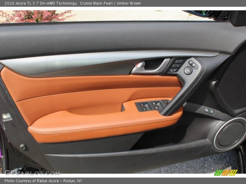 Door Panel of 2010 TL 3.7 SH-AWD Technology